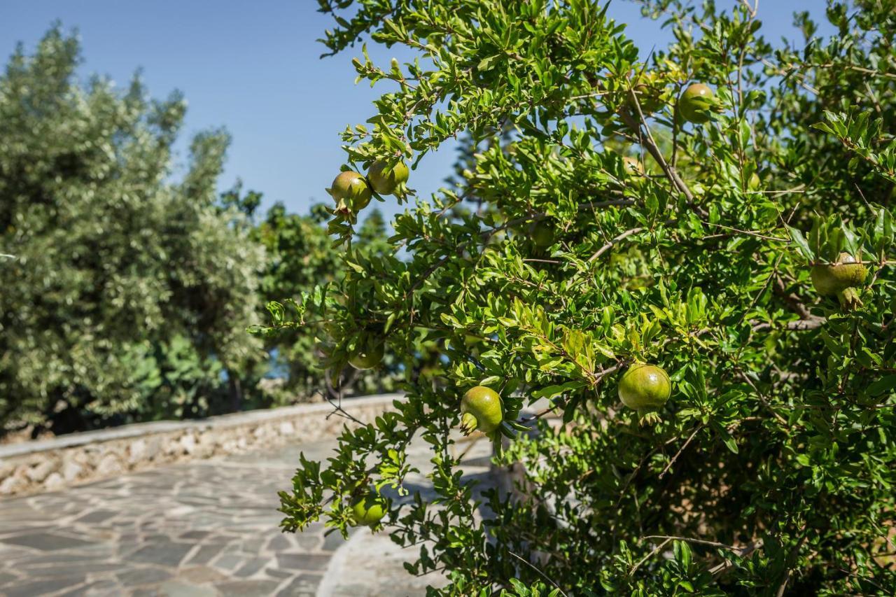 Ploes Luxury Cottages Pesádha Exteriér fotografie