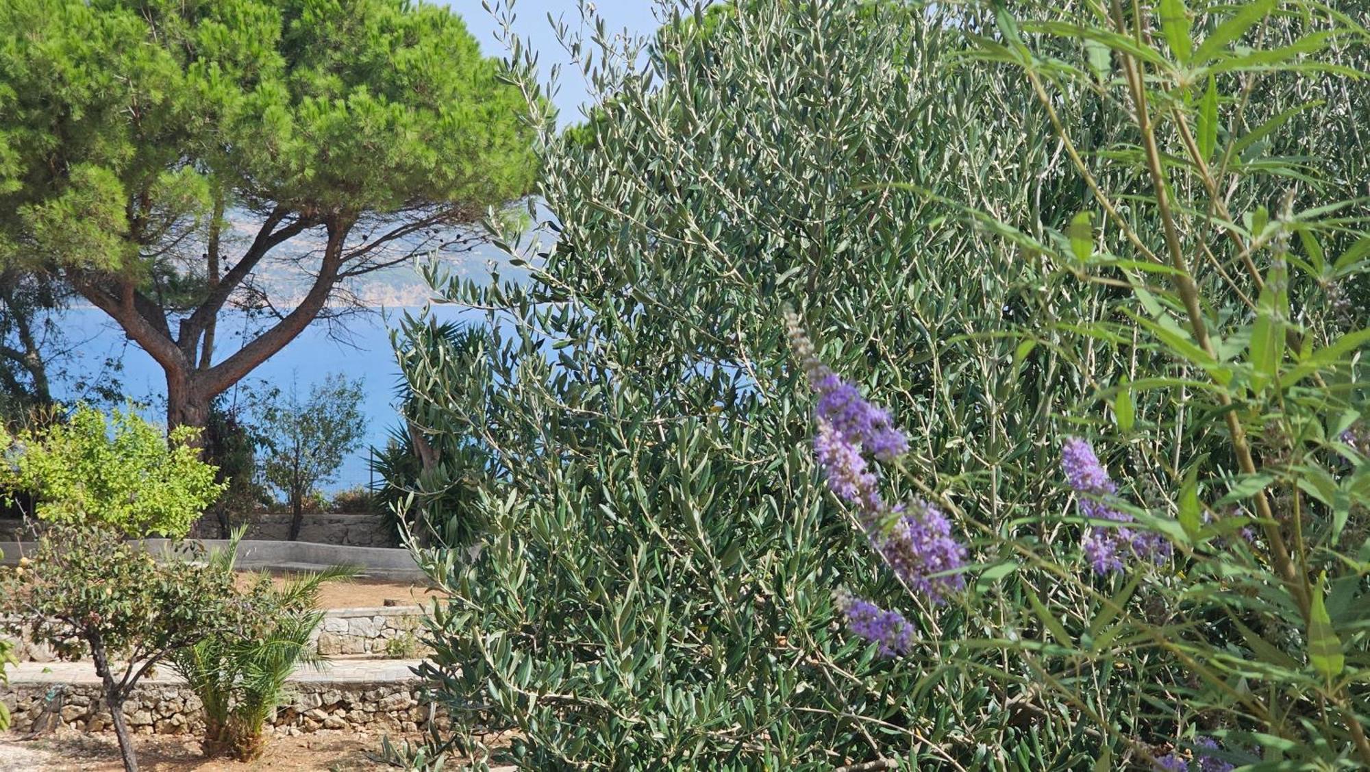 Ploes Luxury Cottages Pesádha Exteriér fotografie